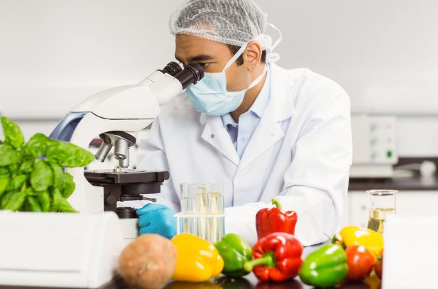Sistema de Gestión de la Inocuidad de los Alimentos Norma ISO 22001